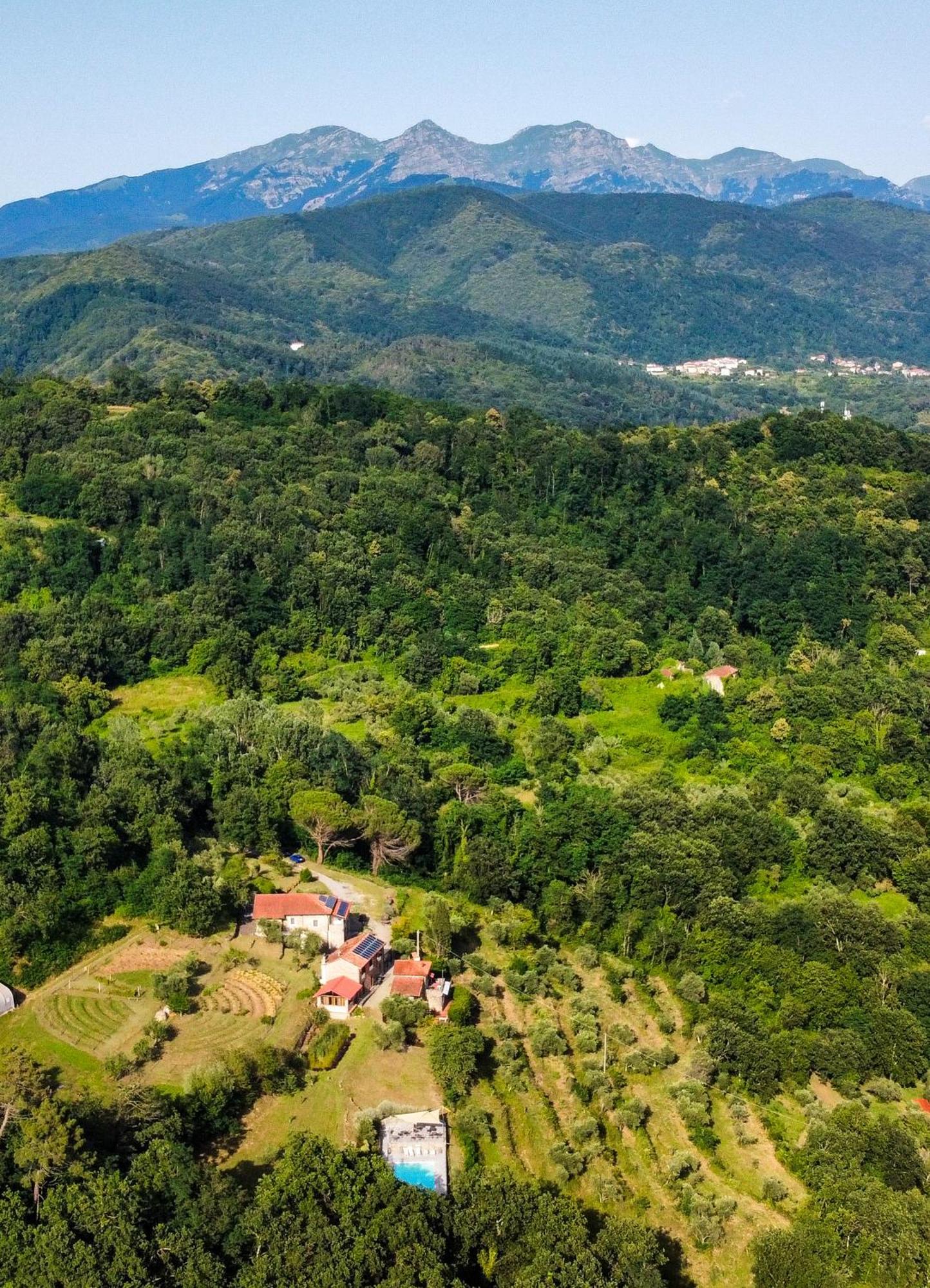 Agripodere Il Falco ปอนเตรโมลิ ภายนอก รูปภาพ