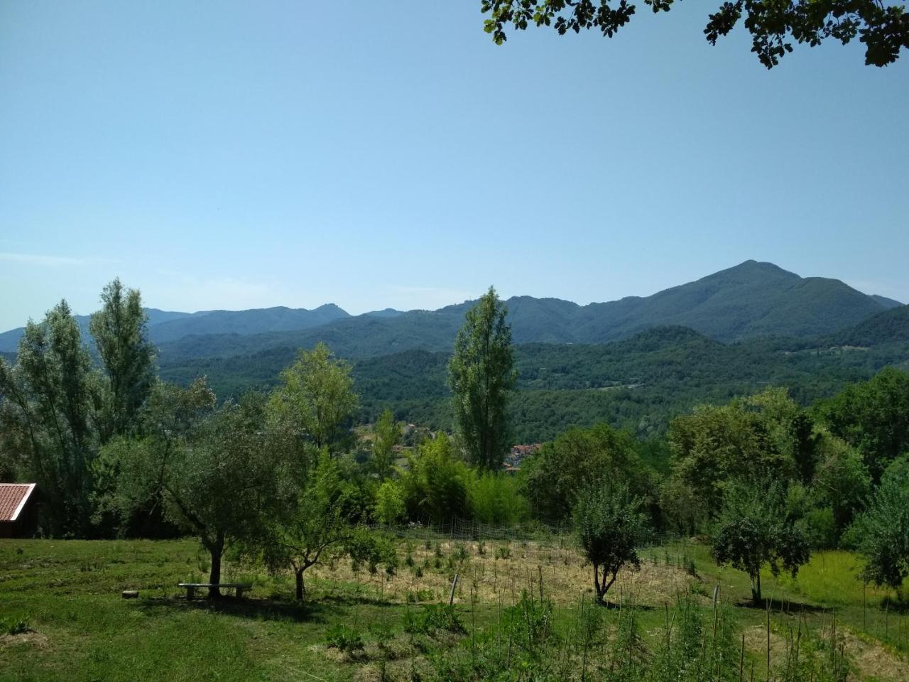 Agripodere Il Falco ปอนเตรโมลิ ภายนอก รูปภาพ