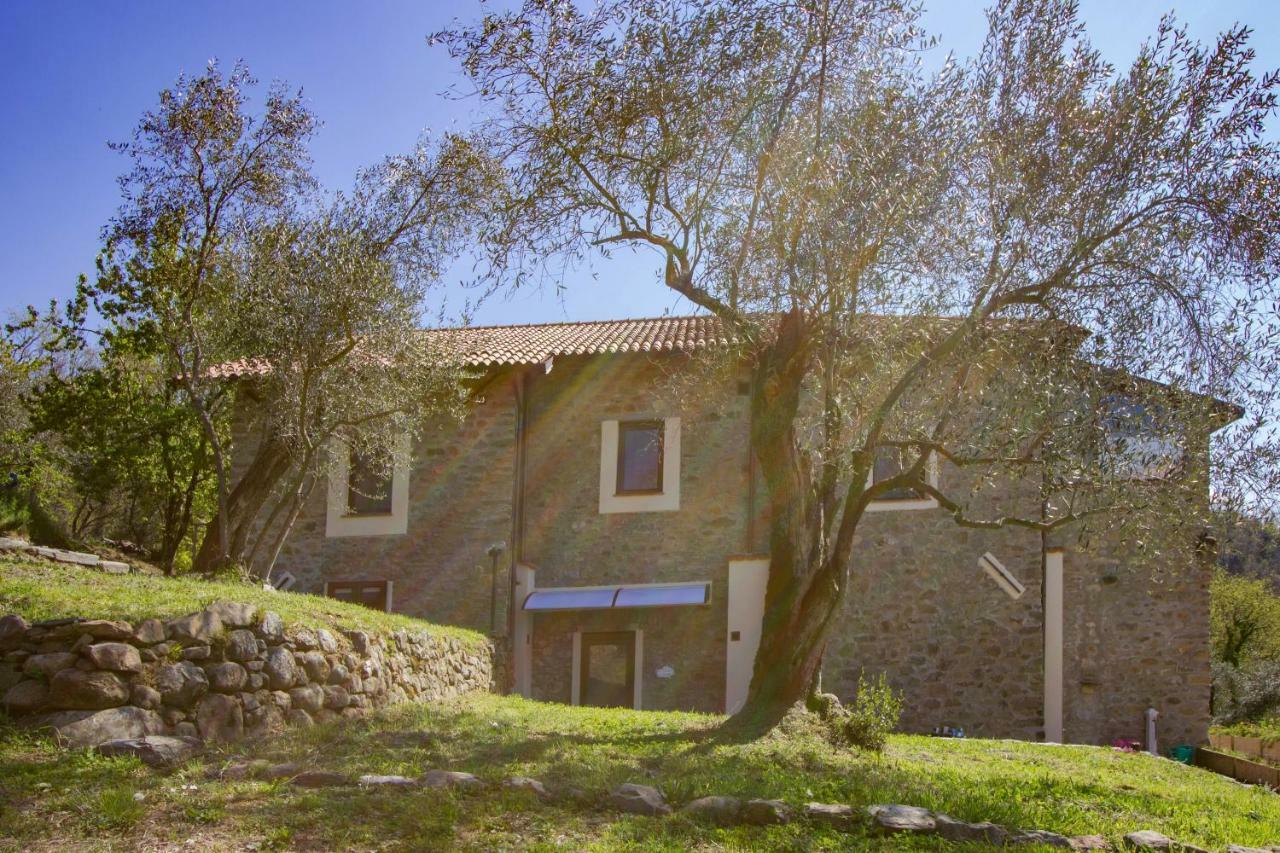 Agripodere Il Falco ปอนเตรโมลิ ภายนอก รูปภาพ